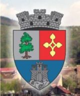 primaria-talmaciu.jpg